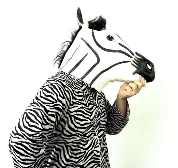 Zebra-Guy