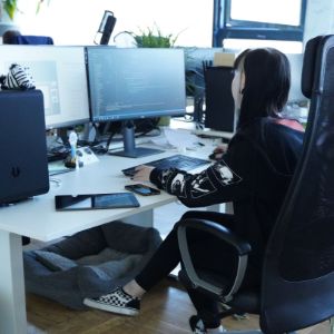 Softwareentwicklerin beim Arbeiten am Computer