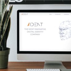 Darstellung der AIDENT-Startseite auf einem PC-Bildschirm